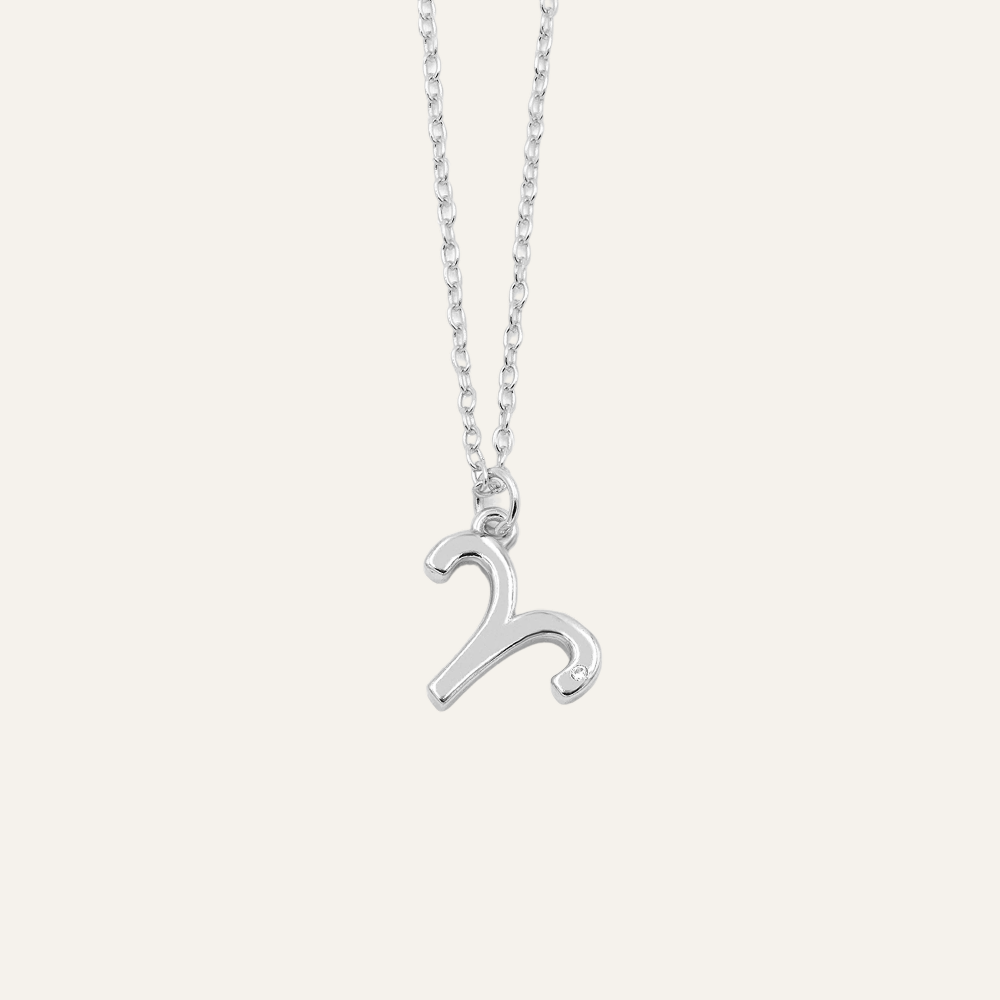 Zodiac Sign Astrology Necklace